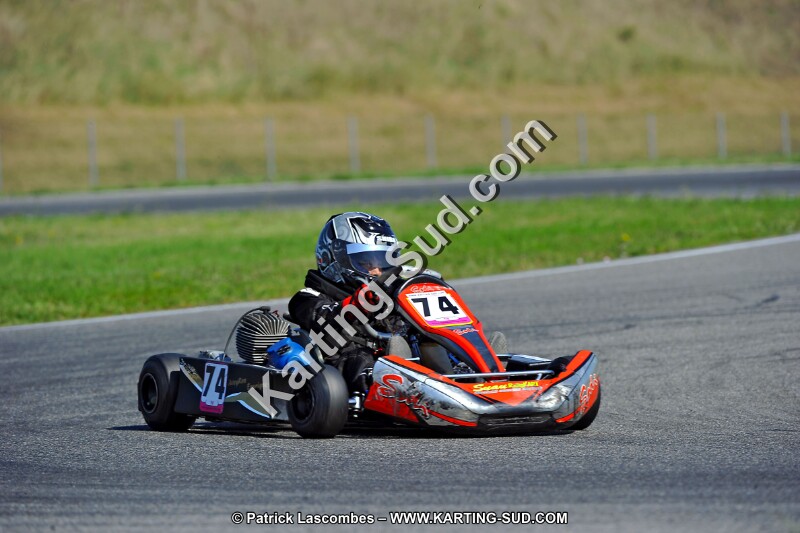 DSC_ (1257).jpg
